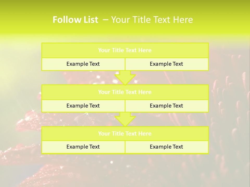 Gift Close Pretty PowerPoint Template