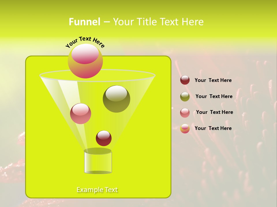 Gift Close Pretty PowerPoint Template