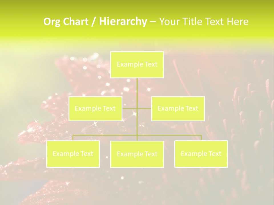 Gift Close Pretty PowerPoint Template