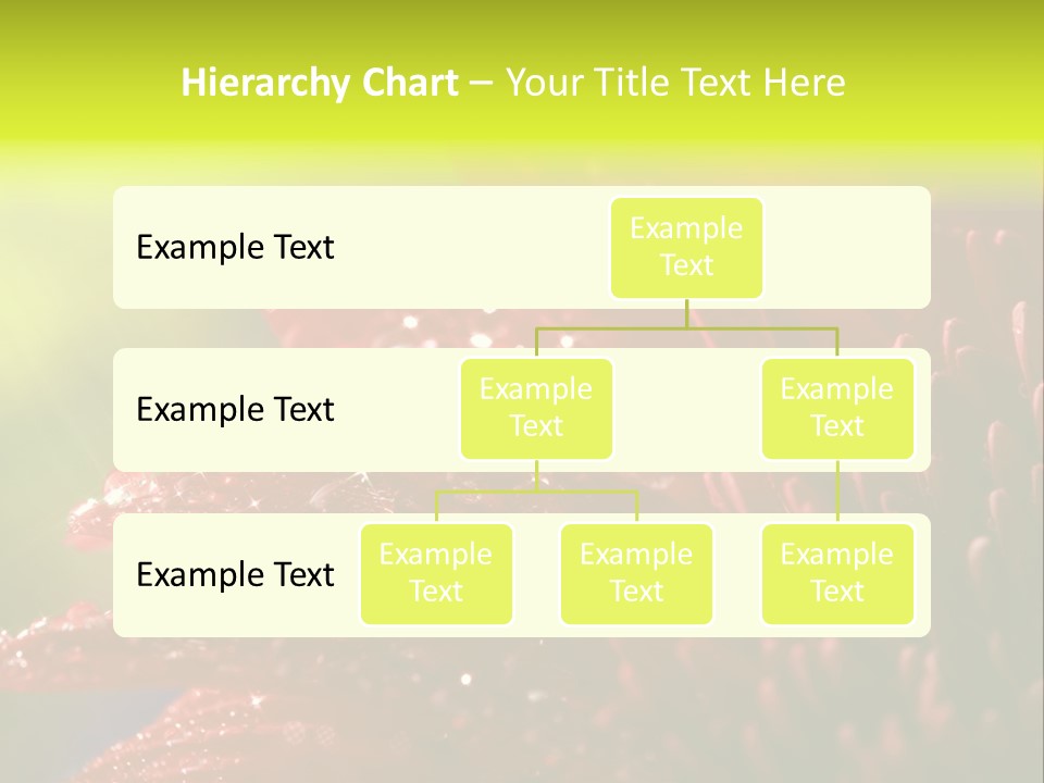 Gift Close Pretty PowerPoint Template