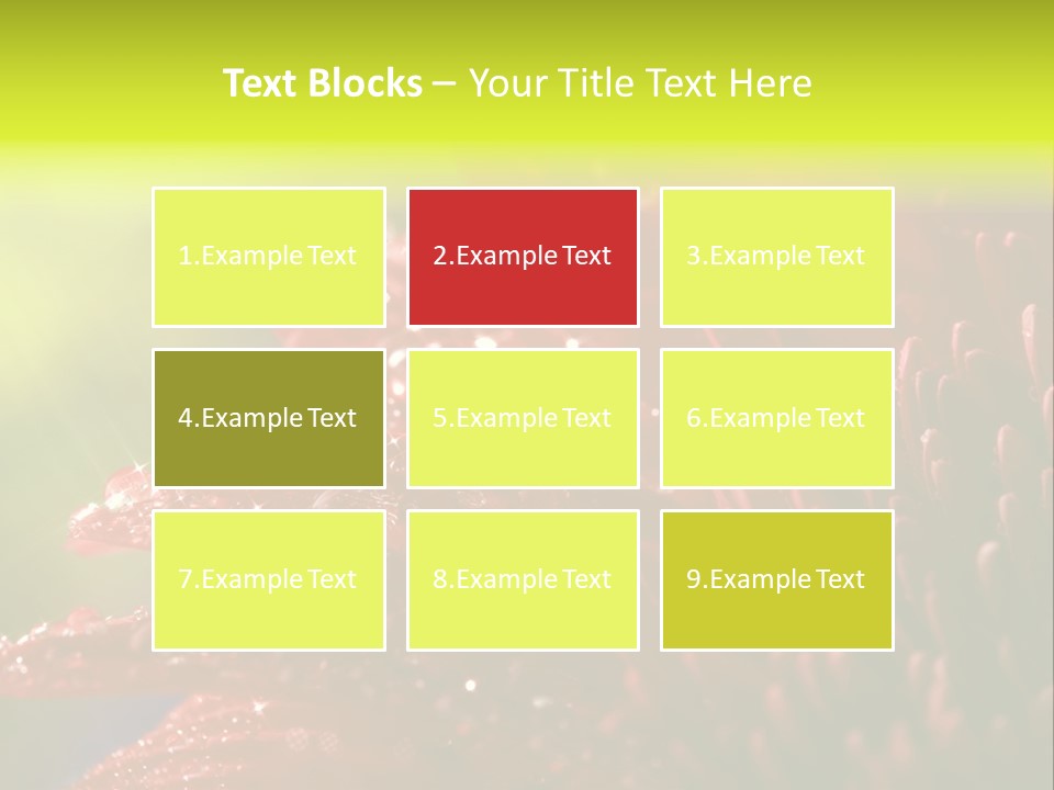 Gift Close Pretty PowerPoint Template