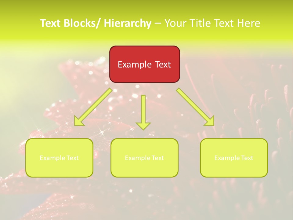 Gift Close Pretty PowerPoint Template