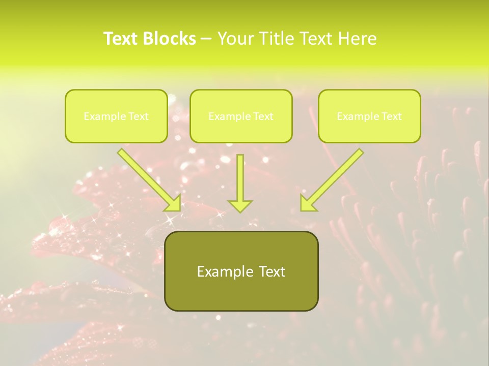 Gift Close Pretty PowerPoint Template