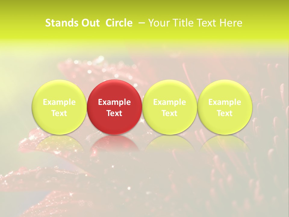 Gift Close Pretty PowerPoint Template