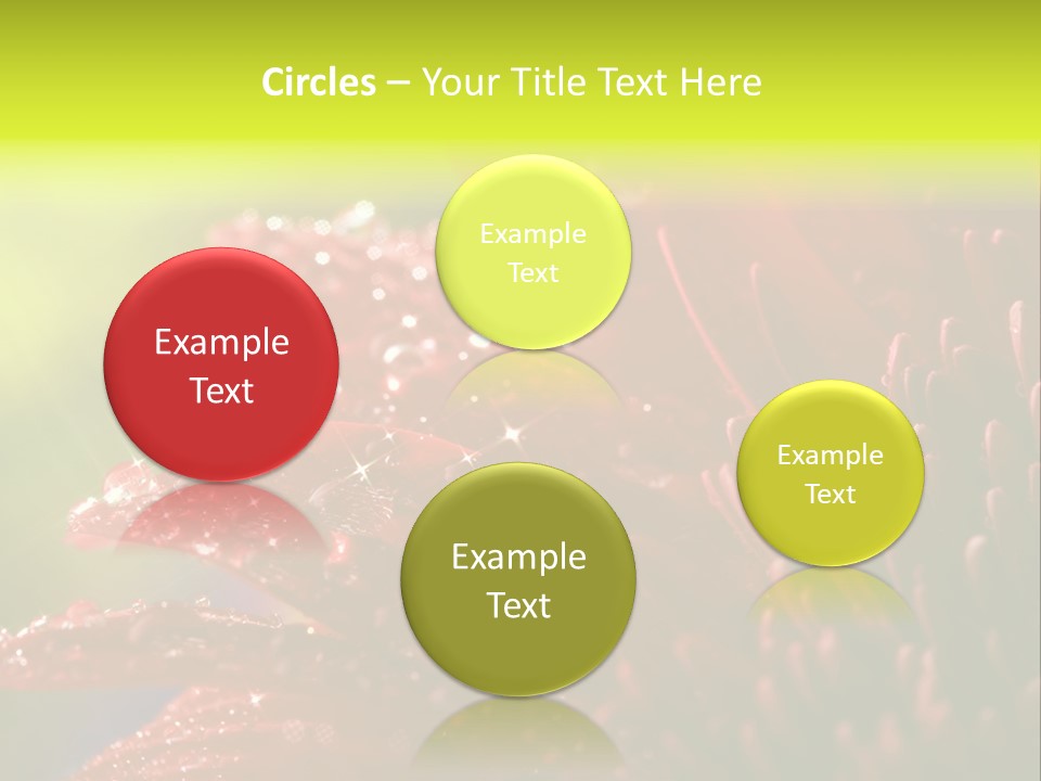 Gift Close Pretty PowerPoint Template