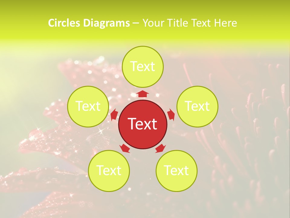 Gift Close Pretty PowerPoint Template