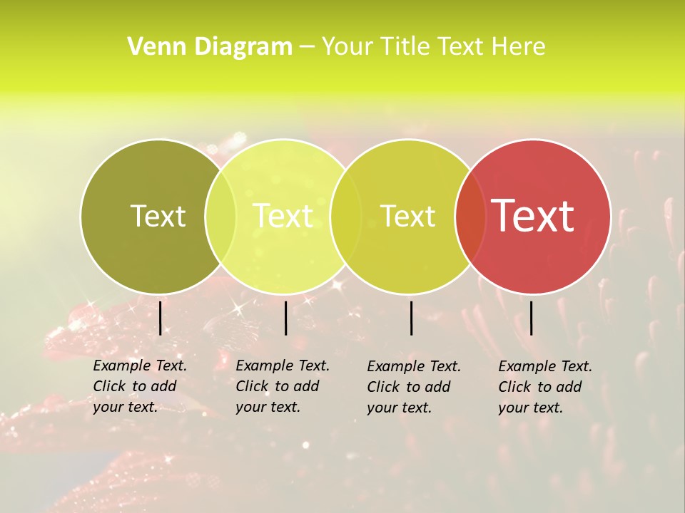 Gift Close Pretty PowerPoint Template