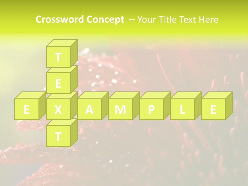 Gift Close Pretty PowerPoint Template