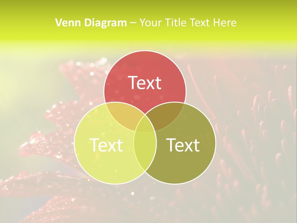 Gift Close Pretty PowerPoint Template