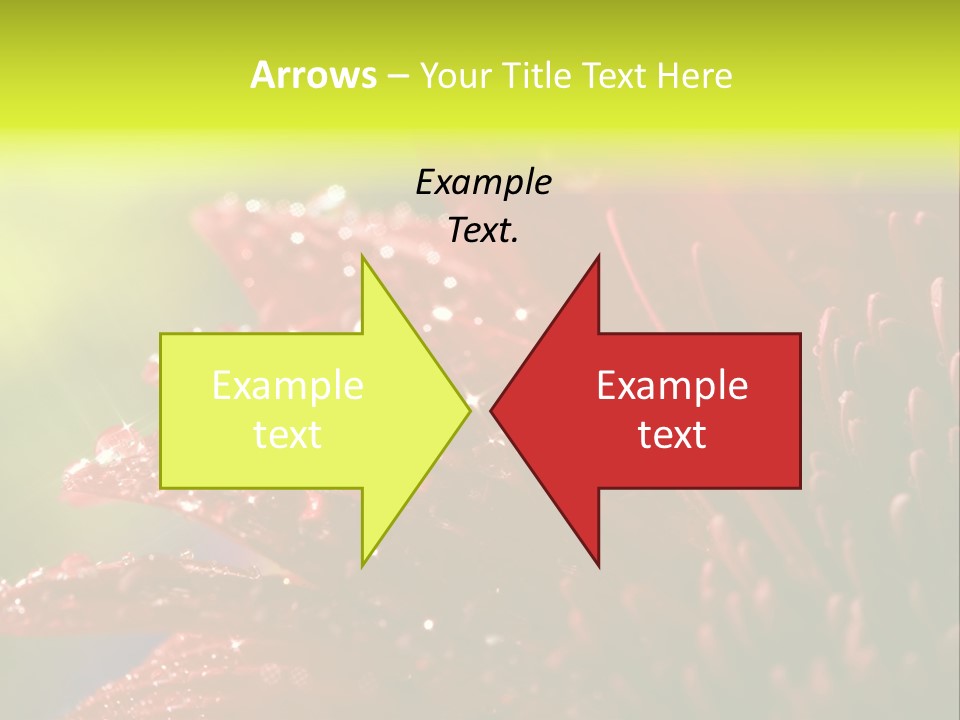 Gift Close Pretty PowerPoint Template