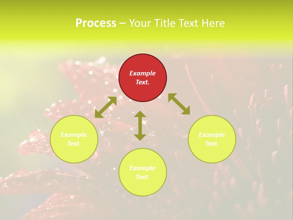 Gift Close Pretty PowerPoint Template