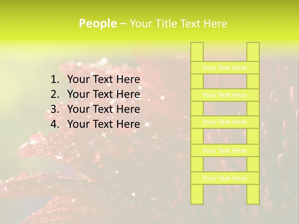 Gift Close Pretty PowerPoint Template