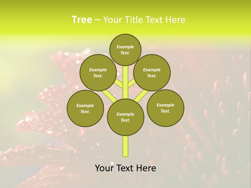 Gift Close Pretty PowerPoint Template