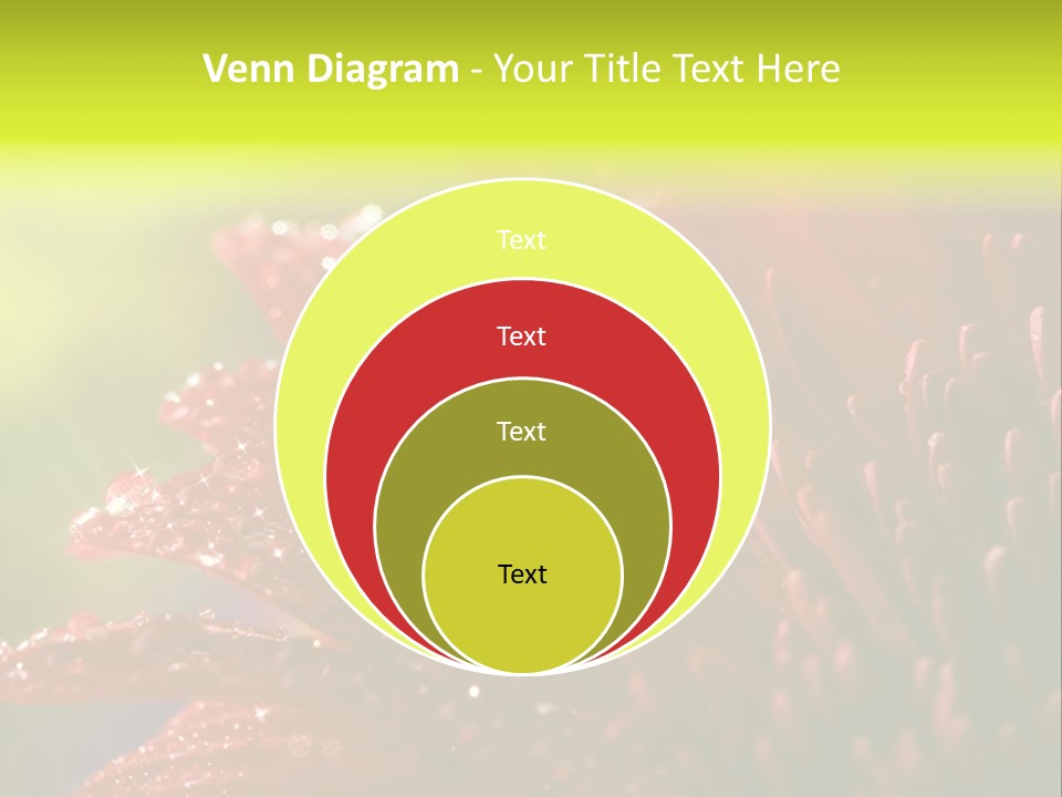 Gift Close Pretty PowerPoint Template