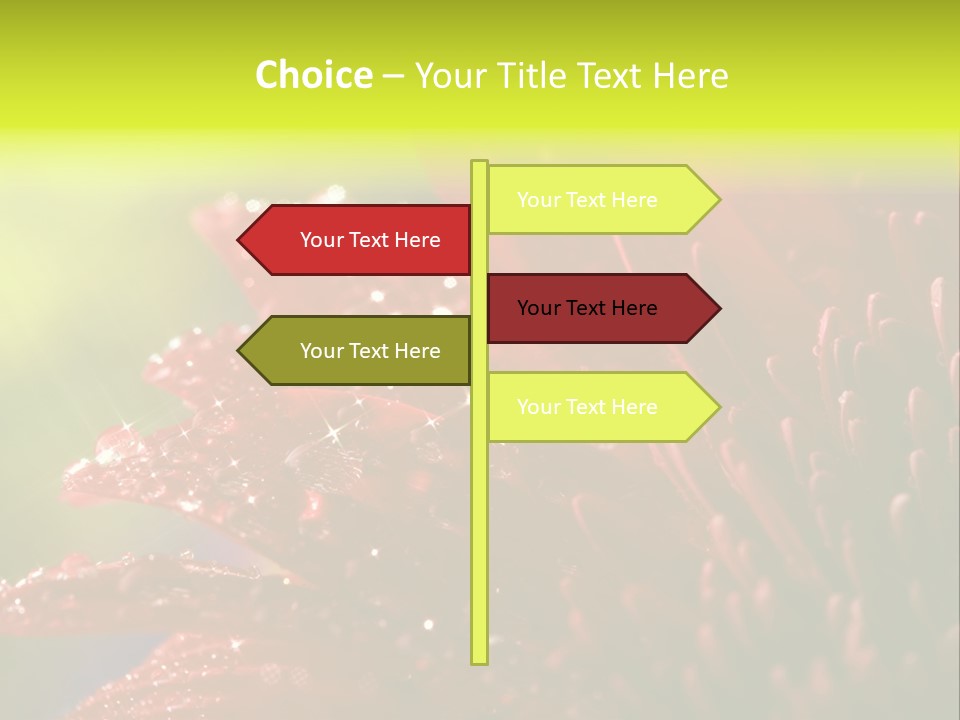Gift Close Pretty PowerPoint Template