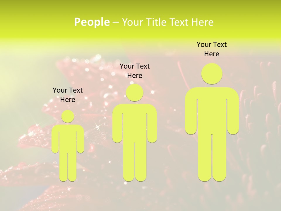 Gift Close Pretty PowerPoint Template