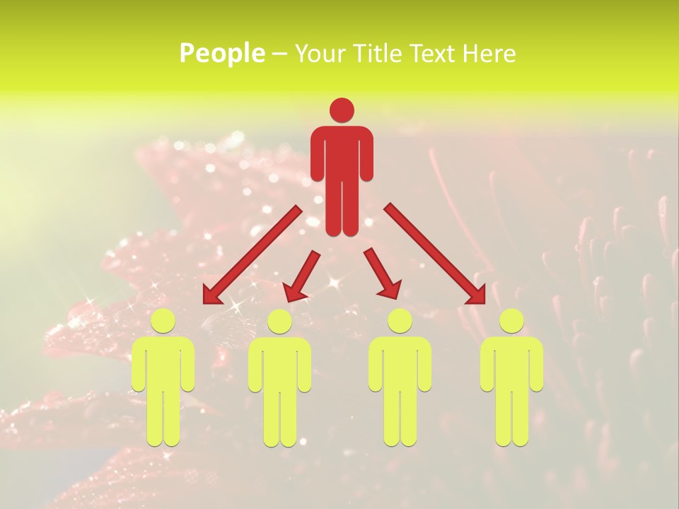 Gift Close Pretty PowerPoint Template