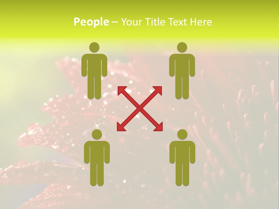 Gift Close Pretty PowerPoint Template