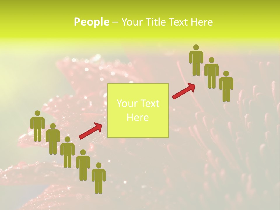 Gift Close Pretty PowerPoint Template