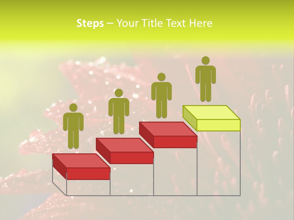 Gift Close Pretty PowerPoint Template