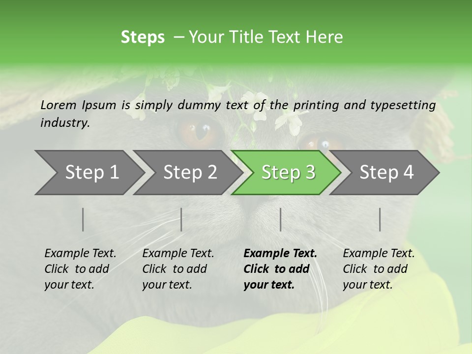 Domestic Short Hair British PowerPoint Template