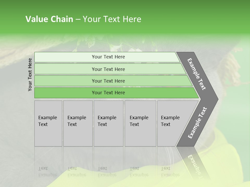 Domestic Short Hair British PowerPoint Template