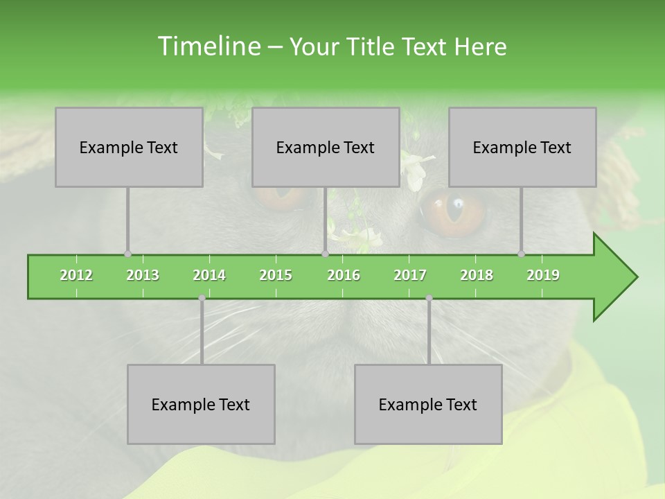 Domestic Short Hair British PowerPoint Template
