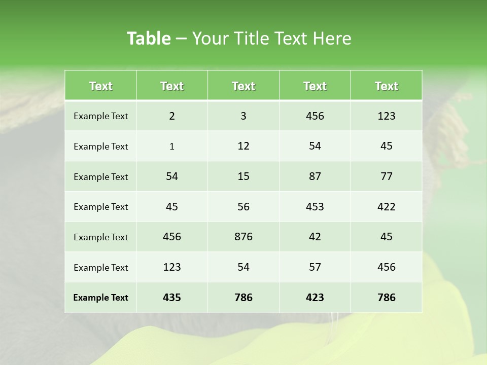 Domestic Short Hair British PowerPoint Template