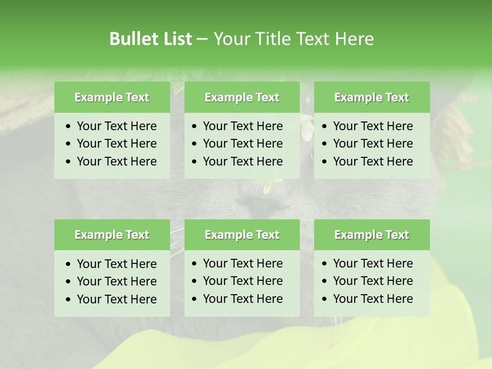 Domestic Short Hair British PowerPoint Template