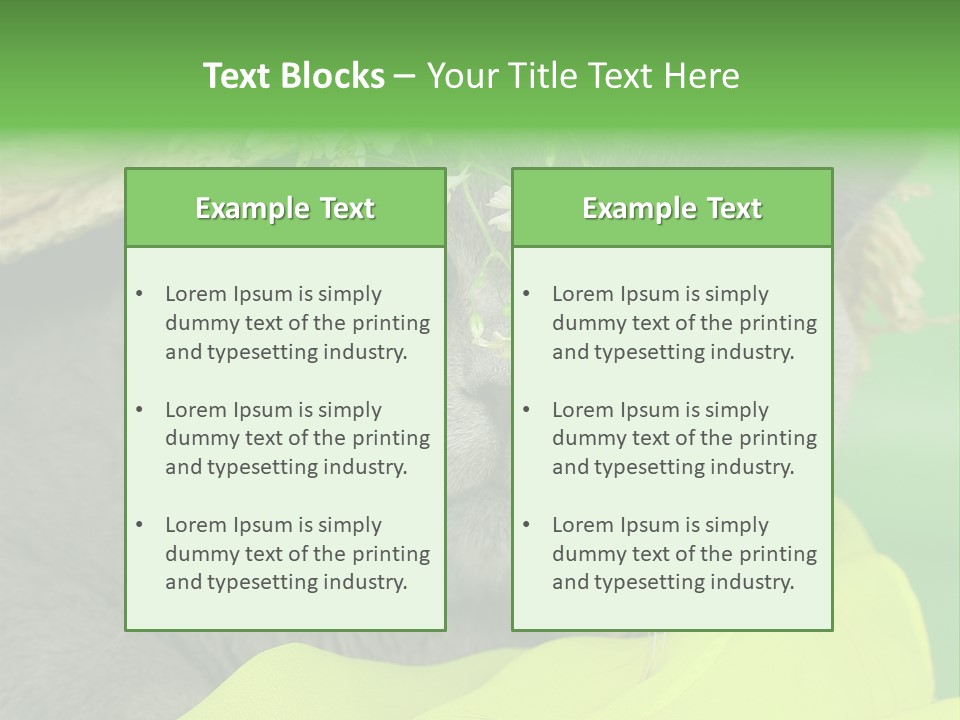 Domestic Short Hair British PowerPoint Template