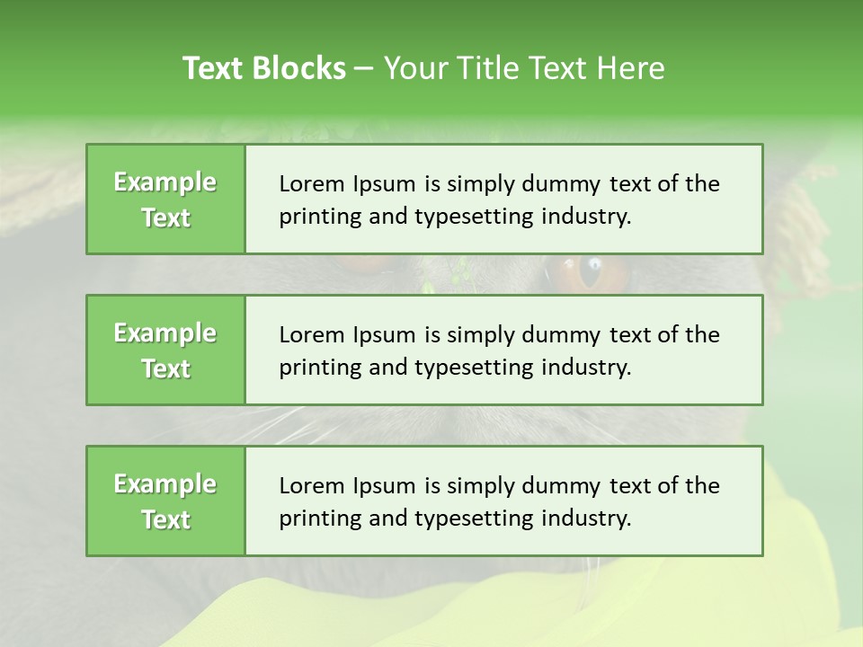 Domestic Short Hair British PowerPoint Template