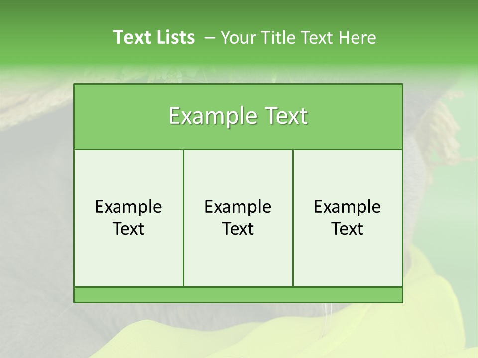 Domestic Short Hair British PowerPoint Template