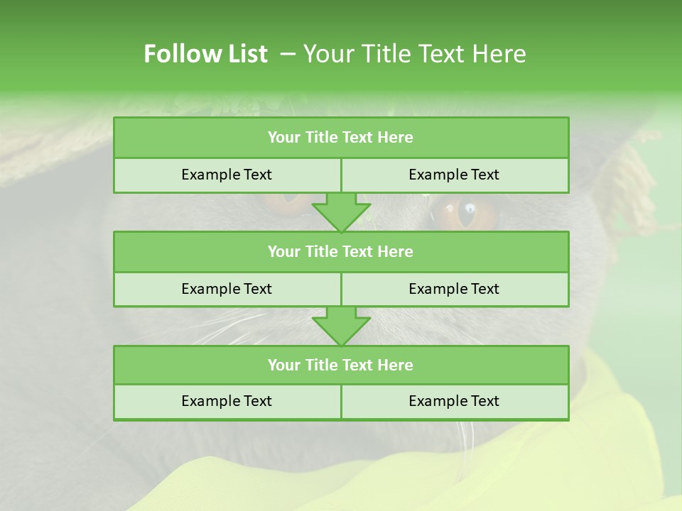 Domestic Short Hair British PowerPoint Template