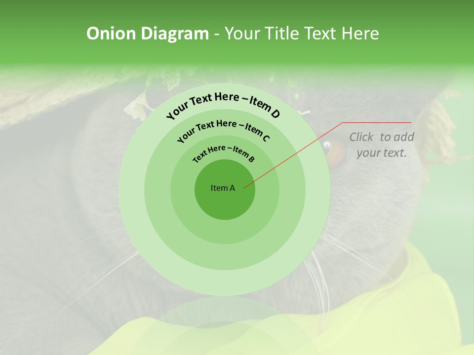Domestic Short Hair British PowerPoint Template