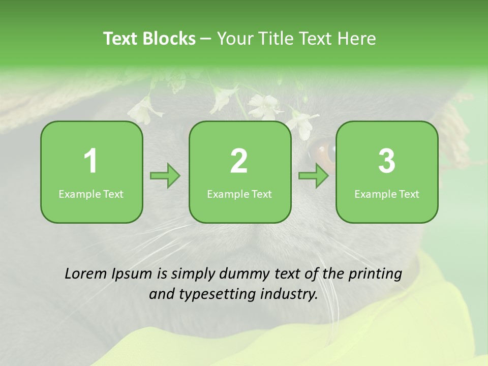 Domestic Short Hair British PowerPoint Template