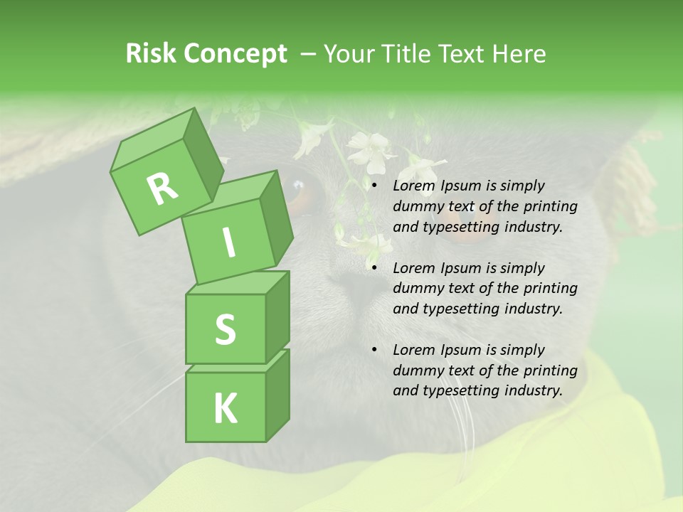 Domestic Short Hair British PowerPoint Template