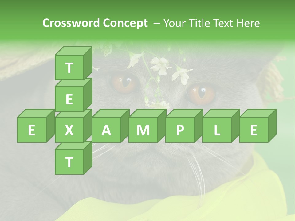 Domestic Short Hair British PowerPoint Template