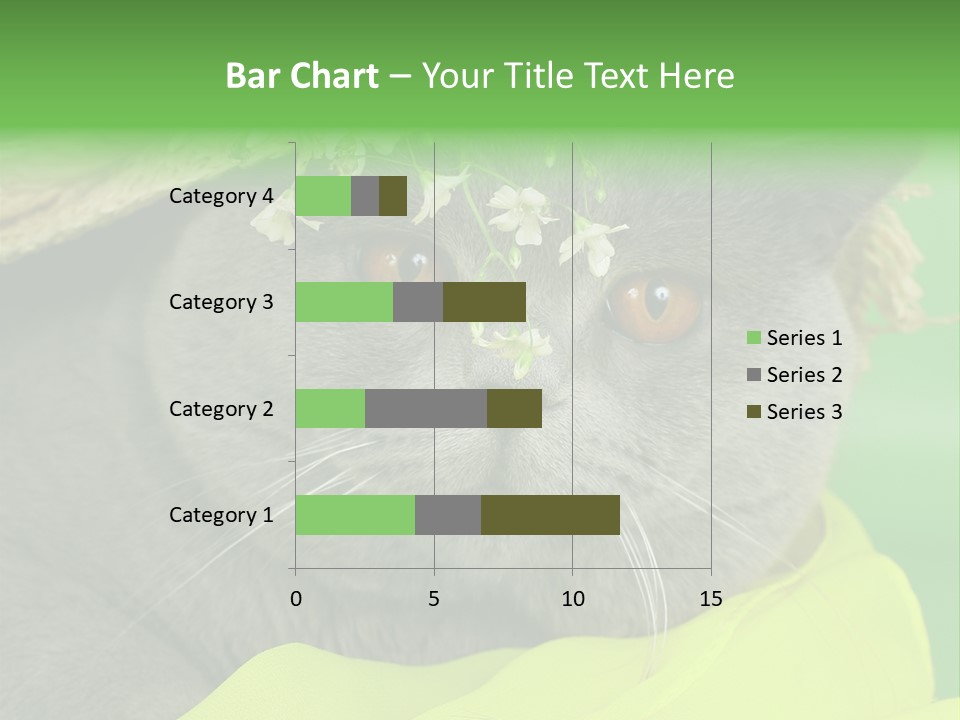 Domestic Short Hair British PowerPoint Template