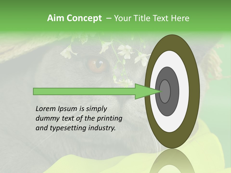 Domestic Short Hair British PowerPoint Template