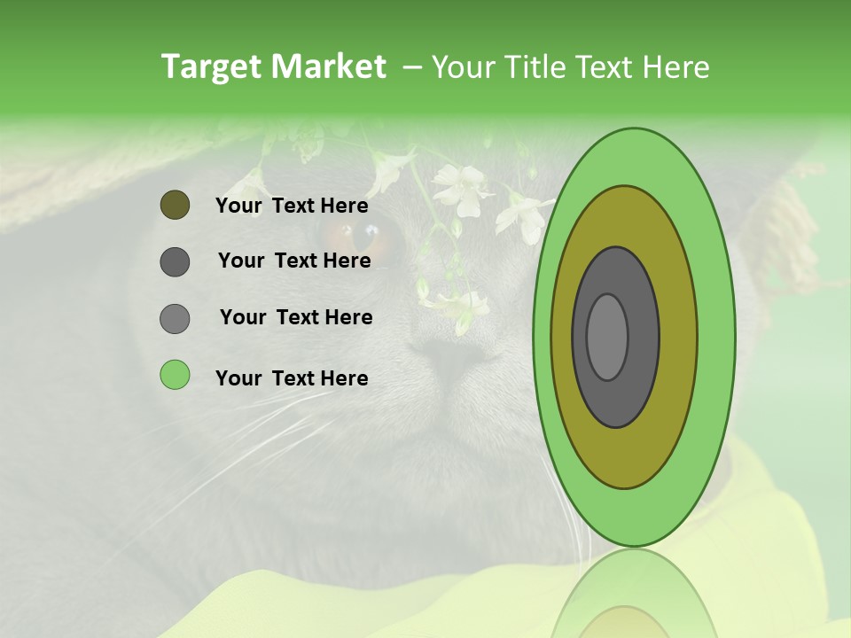 Domestic Short Hair British PowerPoint Template