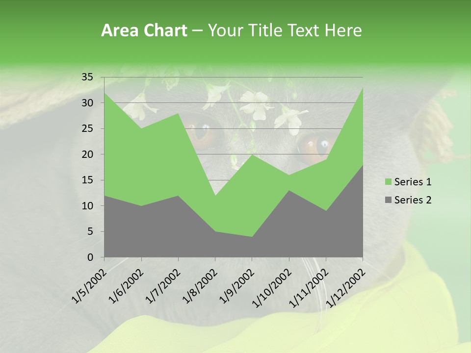 Domestic Short Hair British PowerPoint Template