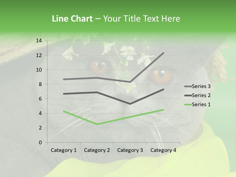 Domestic Short Hair British PowerPoint Template