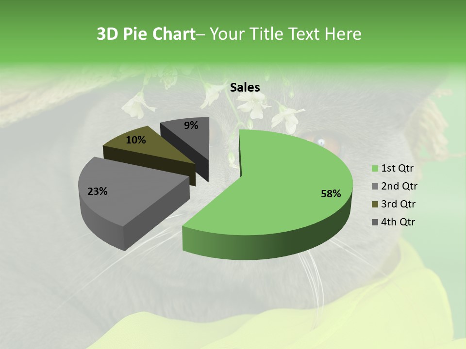 Domestic Short Hair British PowerPoint Template