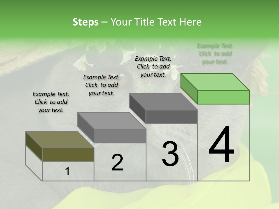 Domestic Short Hair British PowerPoint Template