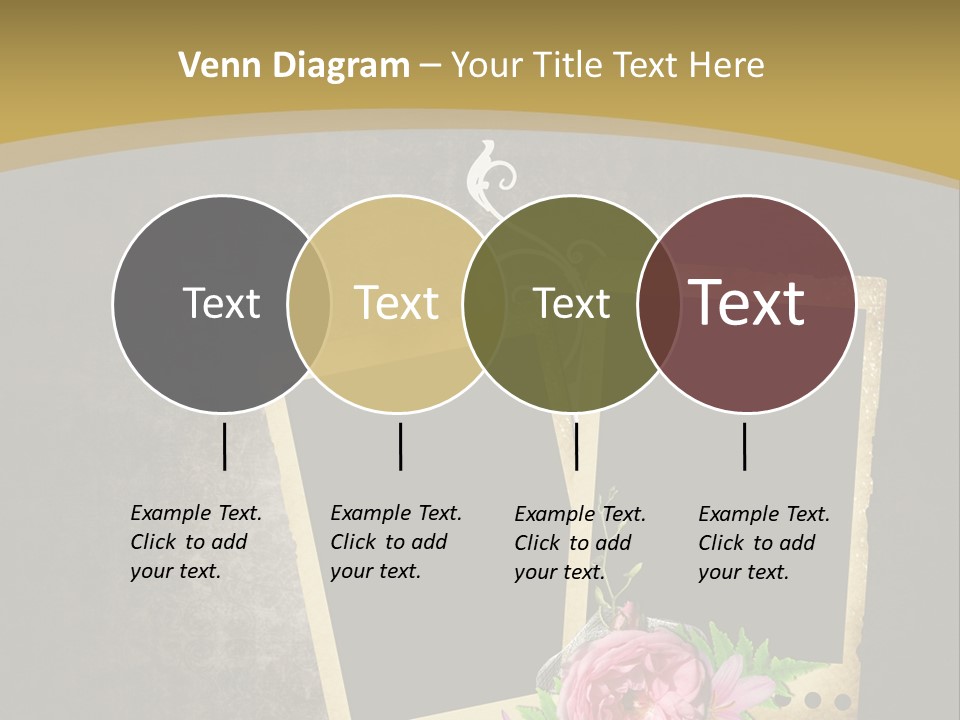 Book Royal Shabby PowerPoint Template