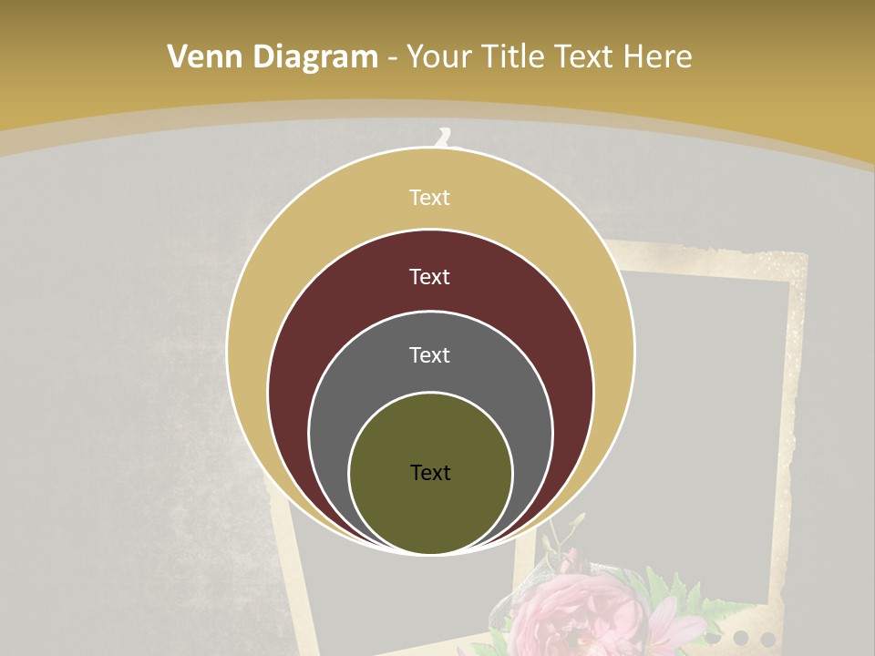 Book Royal Shabby PowerPoint Template