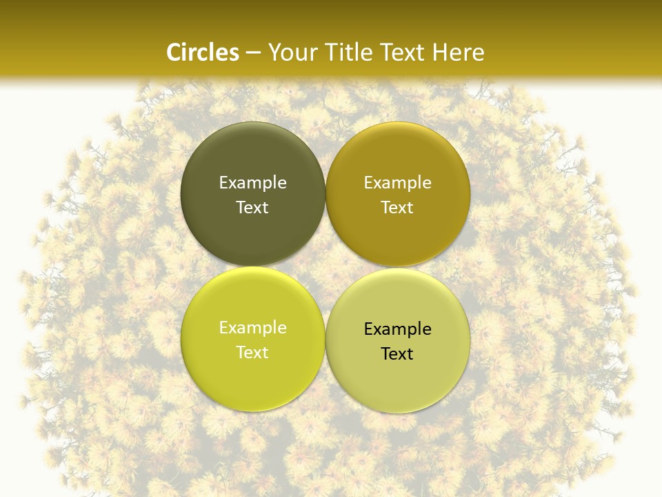 Mini Dense Land PowerPoint Template