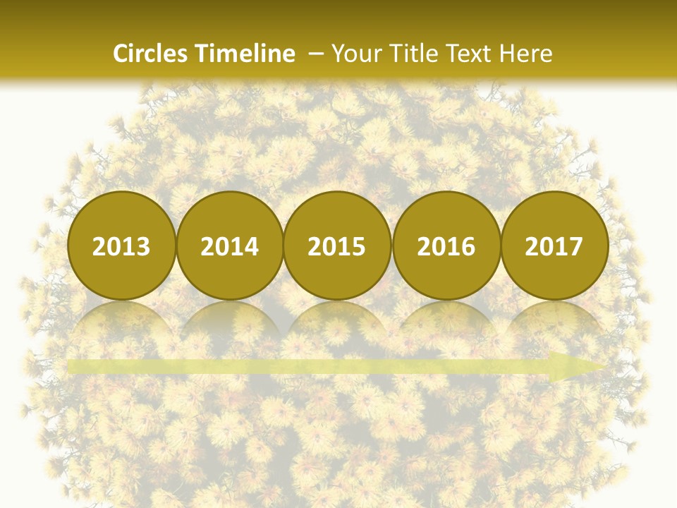 Mini Dense Land PowerPoint Template