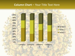 Mini Dense Land PowerPoint Template