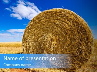 Round Yield Outdoor PowerPoint Template